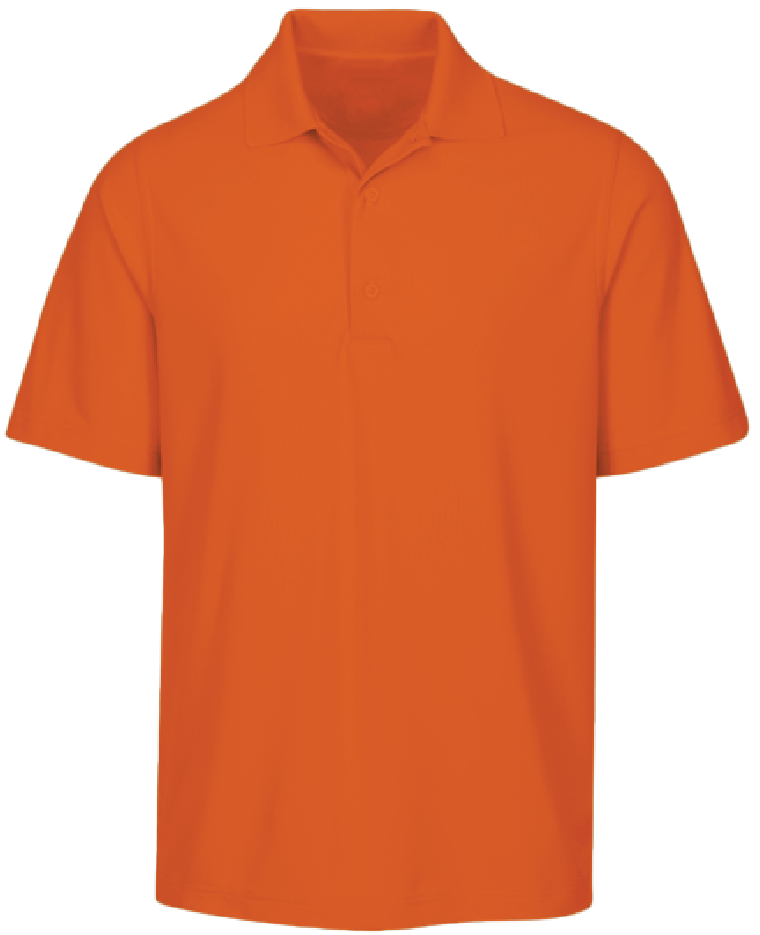 Dri-Fit Polo